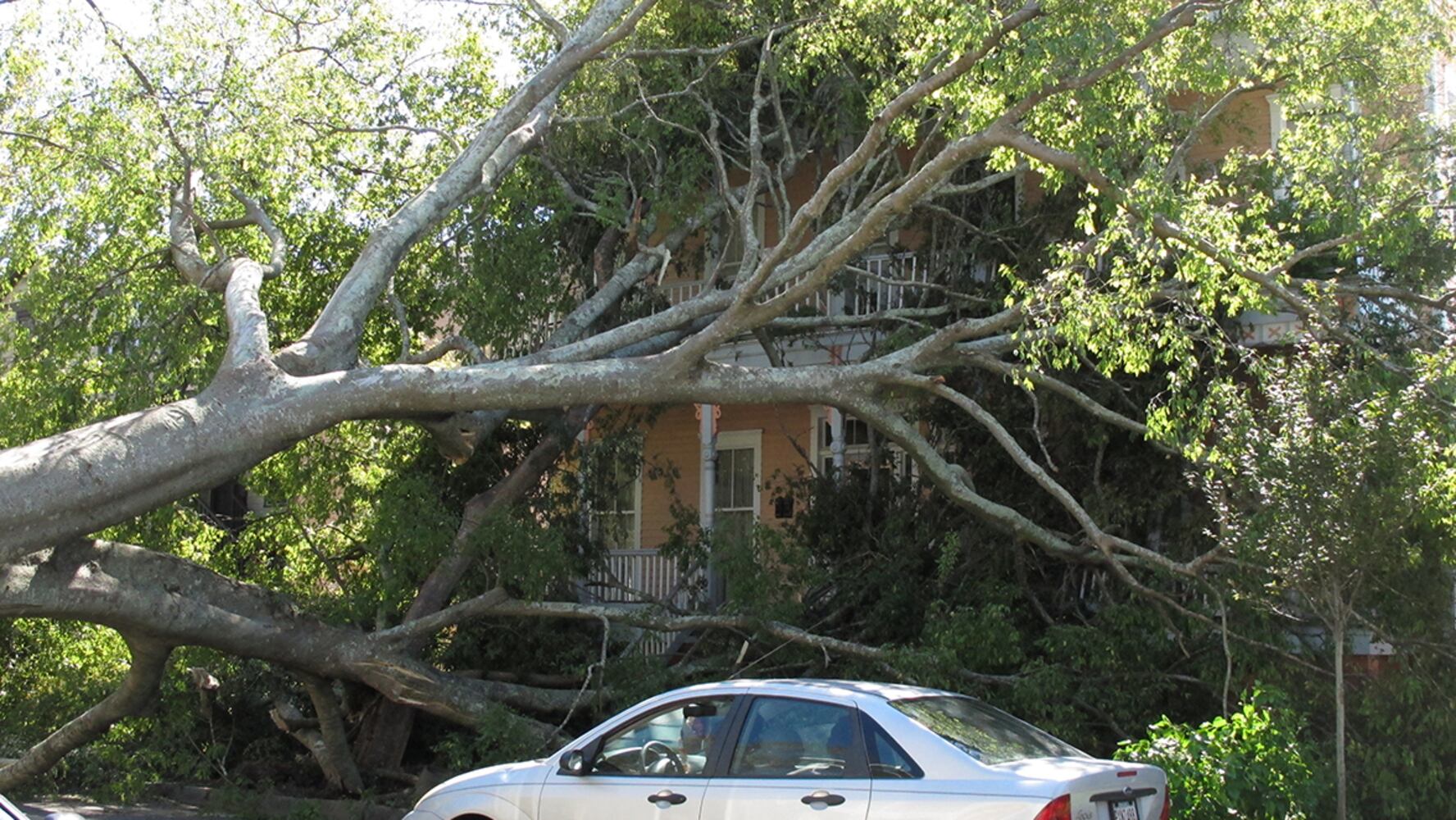Hurricane Matthew aftermath