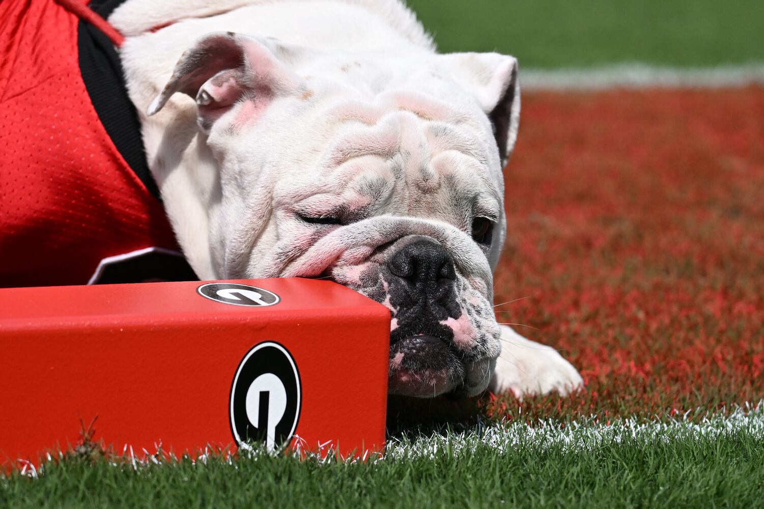 Georgia vs. Ball State