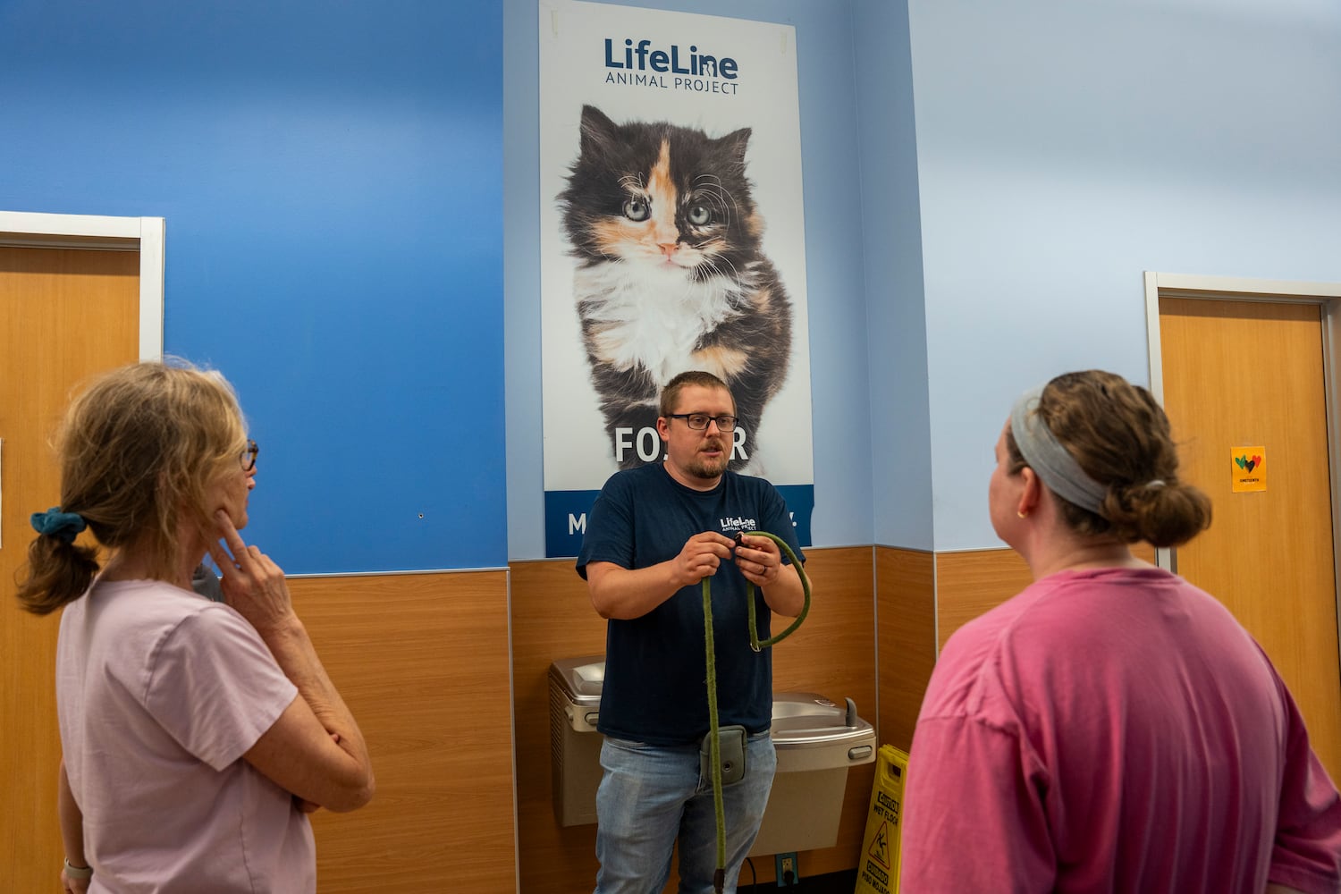 Animal Shelter TikTok