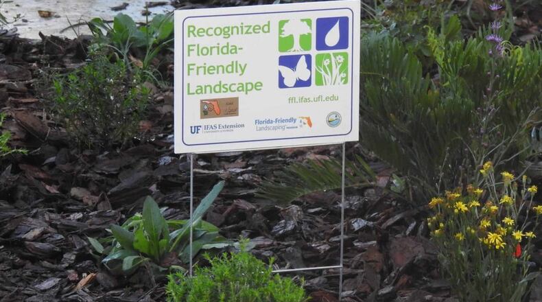 A revamped, water-friendly Florida yard.
Courtesy Crawford Entertainment.