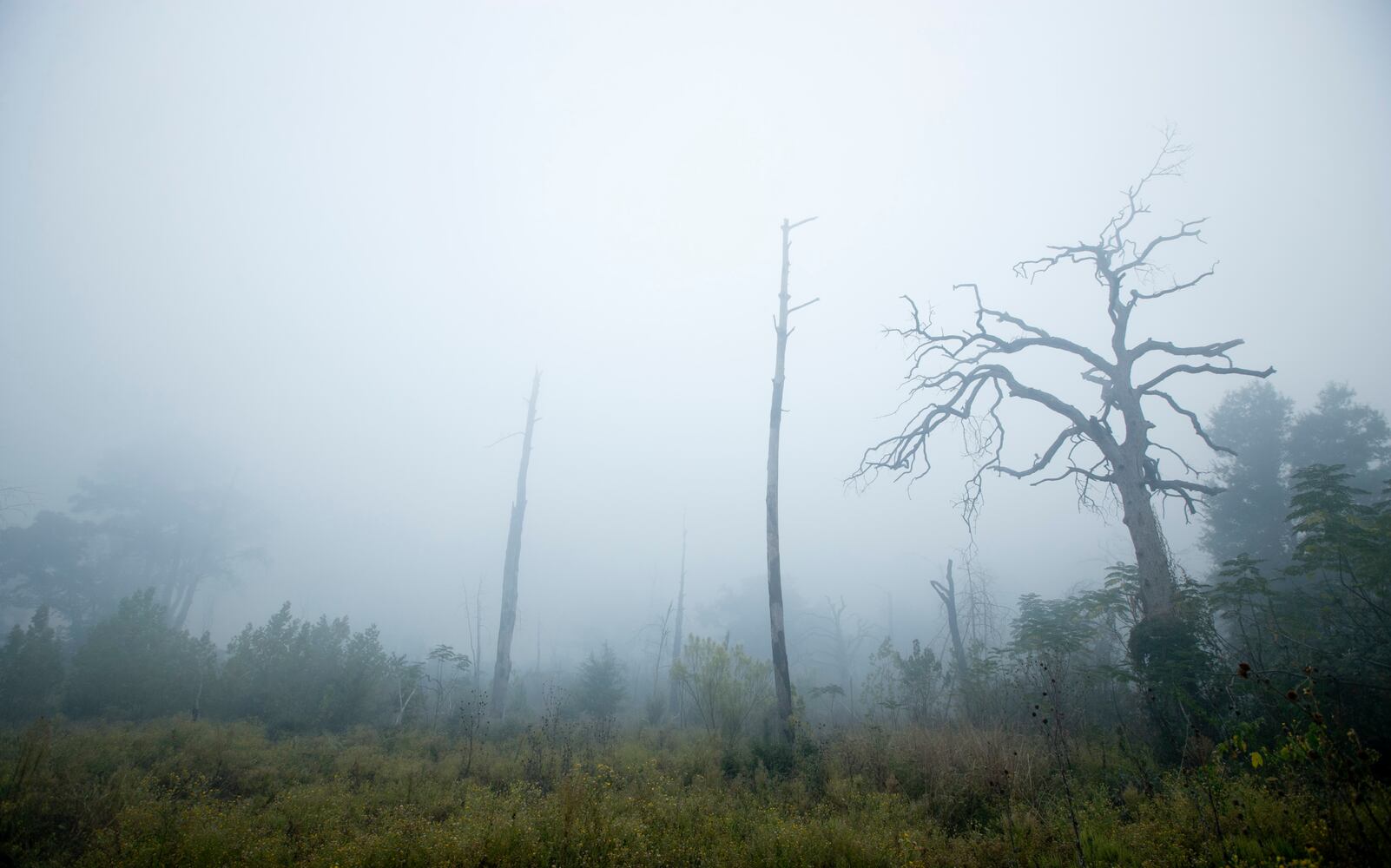 Bastrop County wildfire, 10.15.15