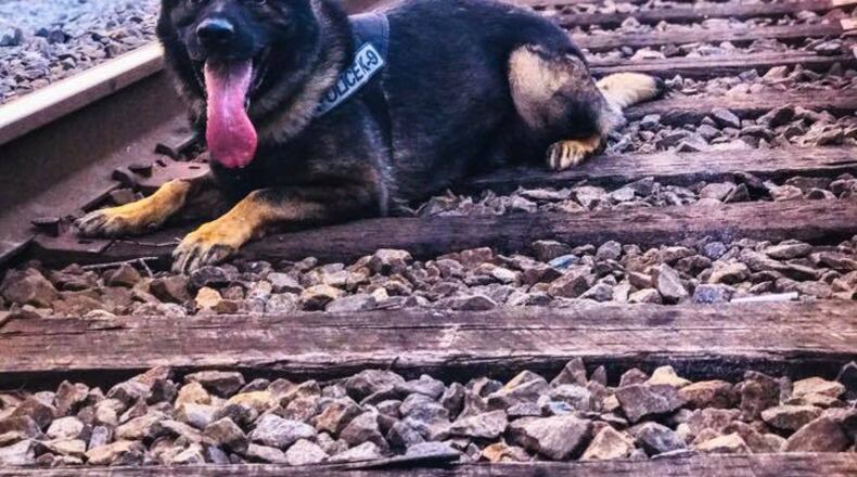 Upon his resignation, Powder Springs Police Officer Cory Dilbeck received a special gift from the city - ownership of his retired K-9 Officer Monto. (Courtesy of Powder Springs)