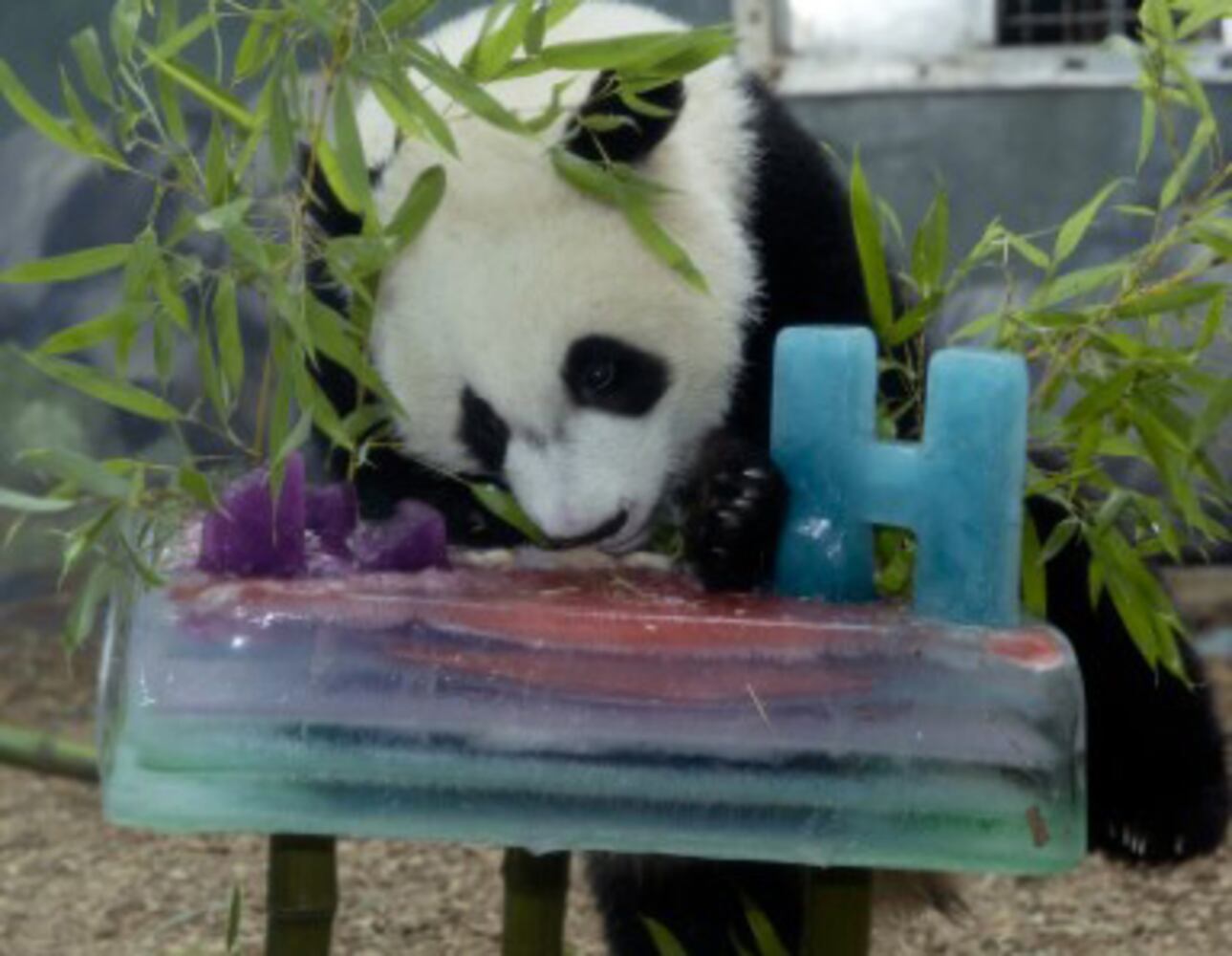 Mei Lun