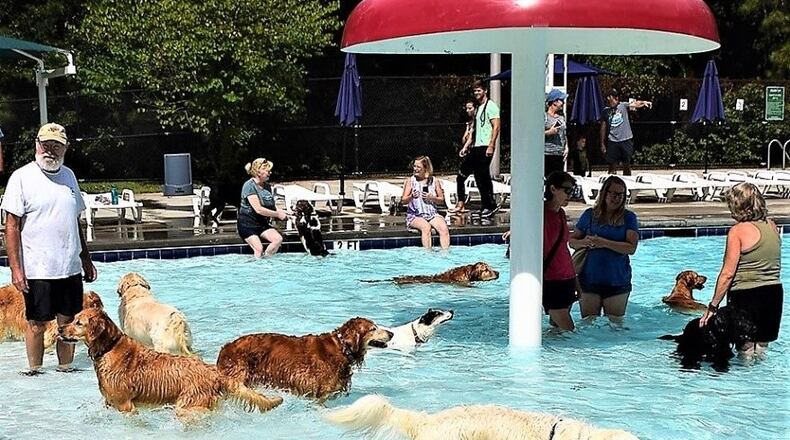 Pups enjoy a previous Doggy Dip Day in Brookhaven.