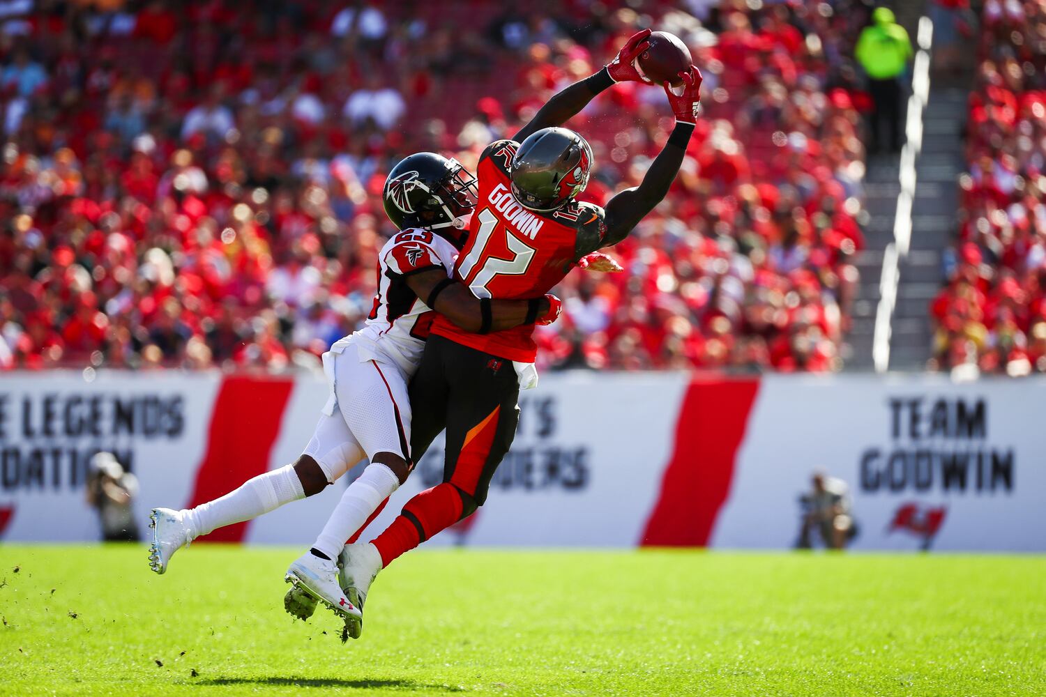 falcons