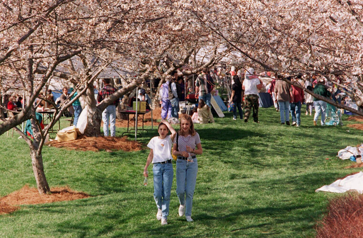 Georgia festivals through the years