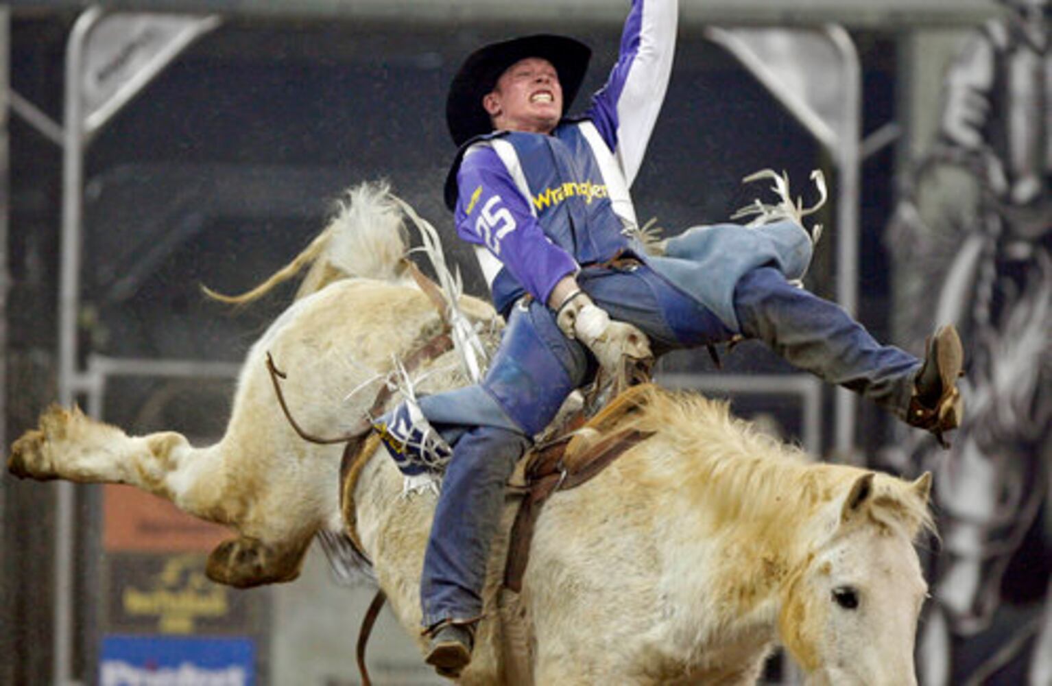 The Toughest Cowboy