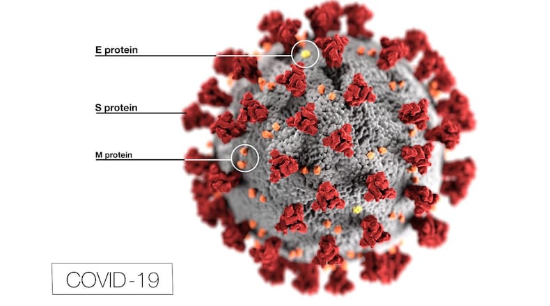 This illustration, created at the Centers for Disease Control and Prevention (CDC), reveals ultrastructural morphology exhibited by coronaviruses. Note the spikes that adorn the outer surface of the virus, which impart the look of a corona surrounding the virion, when viewed electron microscopically. In this view, the protein particles E, S, and M, also located on the outer surface of the particle, have all been labeled as well. A novel coronavirus, named Severe Acute Respiratory Syndrome coronavirus 2 (SARS-CoV-2), was identified as the cause of an outbreak of respiratory illness first detected in Wuhan, China in 2019. The illness caused by this virus has been named coronavirus disease 2019 (COVID-19).