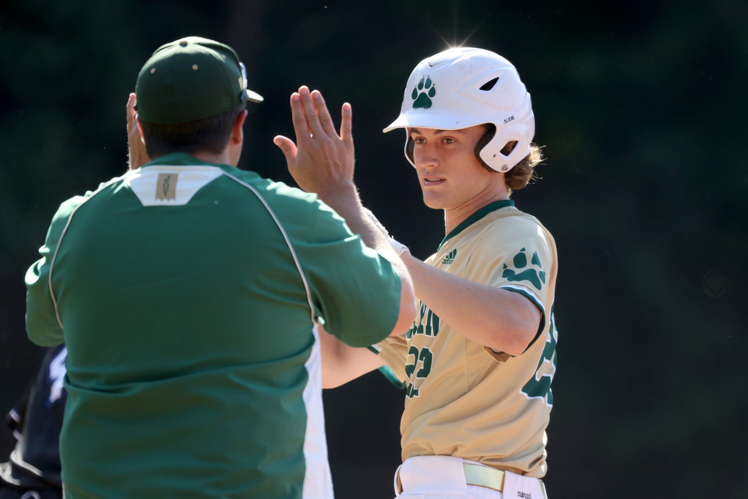 GHSA Baseball Playoffs