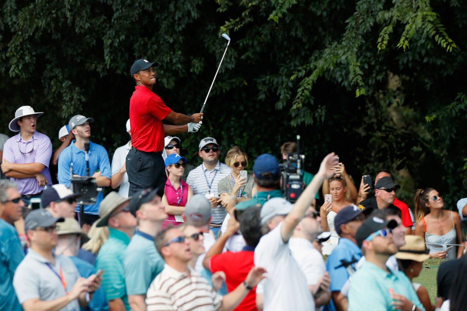 tiger woods wins tour championship