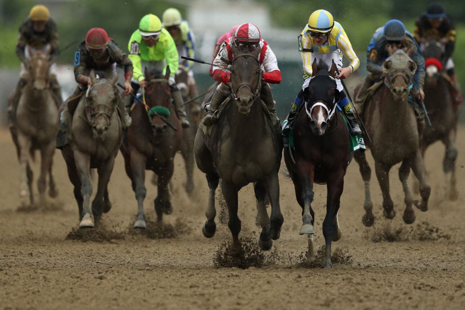 longshot cloud computing wins 2017 preakness stakes