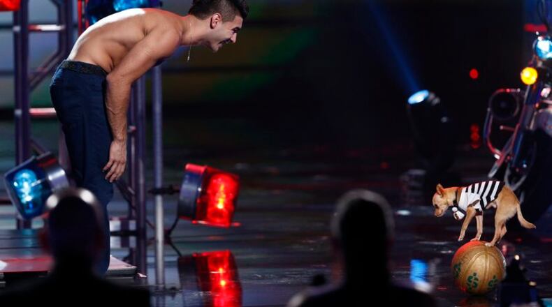 AMERICA'S GOT TALENT -- Episode 922 -- Pictured: Christian Stoinev -- (Photo by: Peter Kramer/NBC) Christian Stoinev and Scooby make an oddball team and they have plenty of skills but as an act, they are not top 6 worthy. CREDIT: NBC