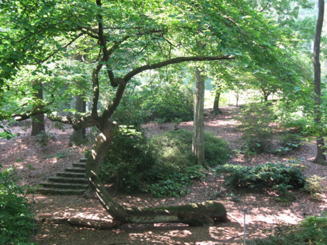 Atlanta public gardens offer flora, more