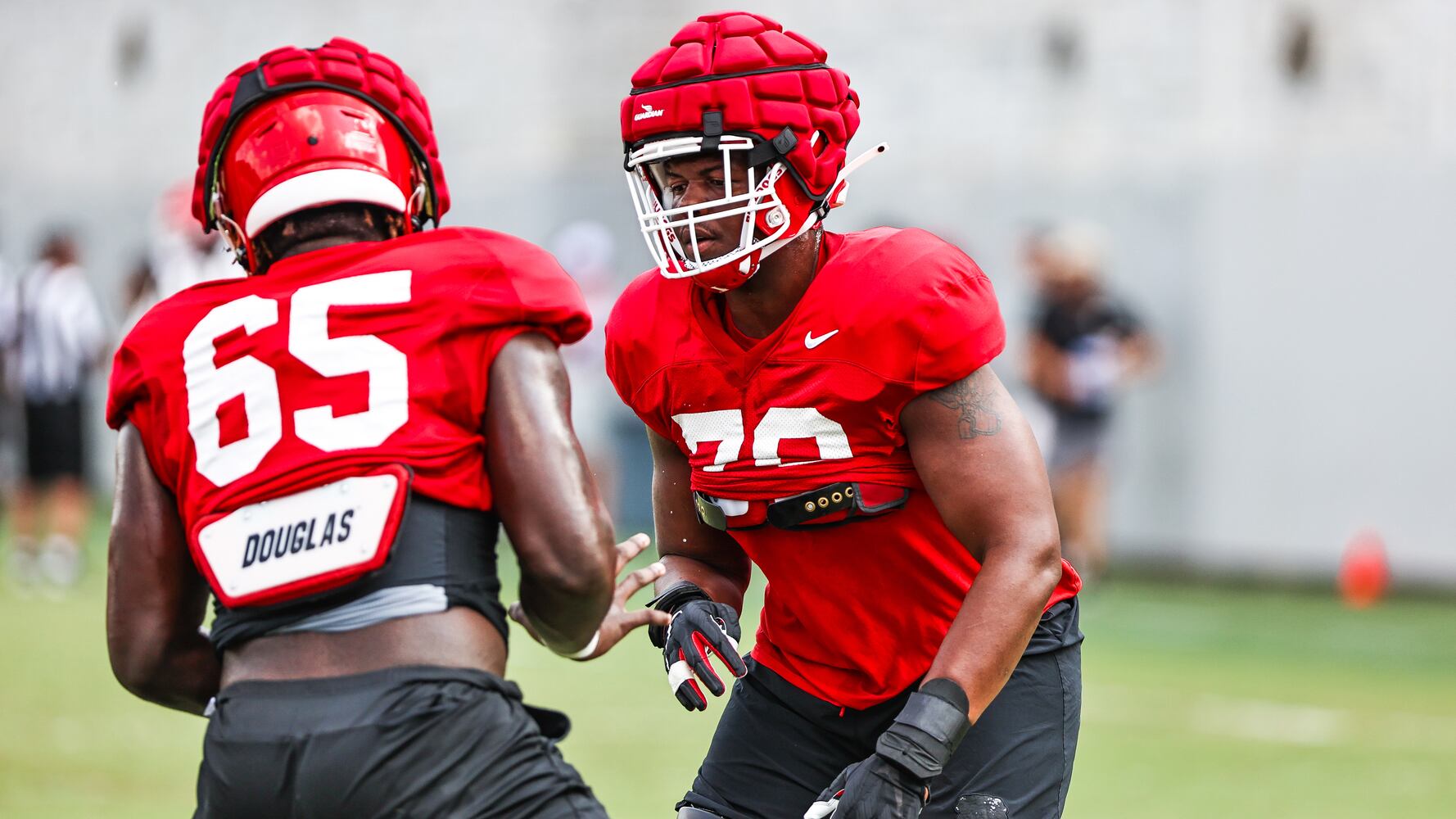 Georgia Bulldogs