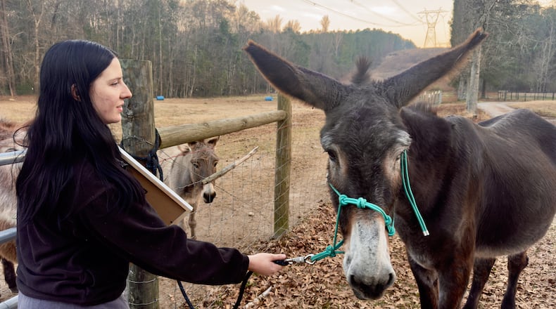 Hannah Frost, who lives on the outskirts of Macon near Byron, raises goats and donkeys on her small family farm, including this donkey, which was recently recognized by Guinness World Records. (Joe Kovac Jr./AJC)