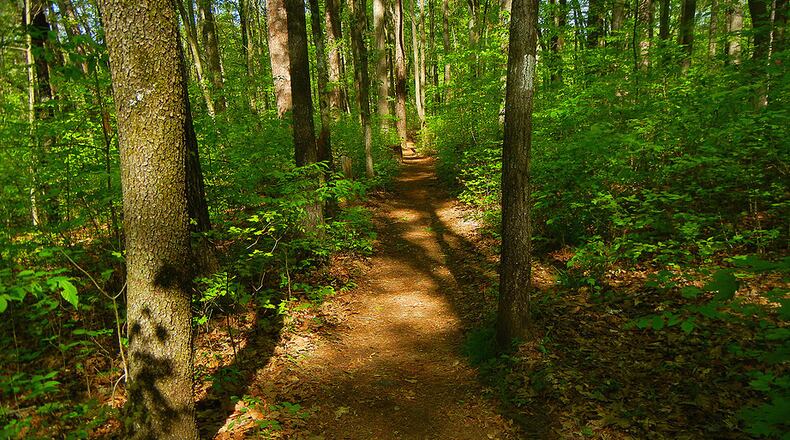 Meeting will discuss plans for Simpsonwood Park. Courtesy of David Rosinger