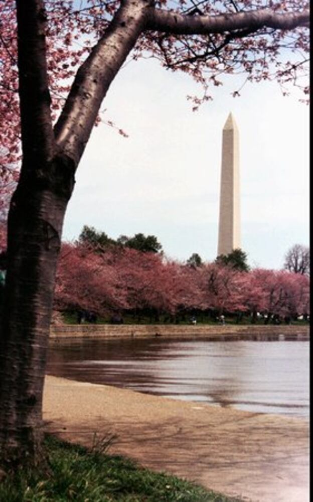 Washington, D.C., sites wow first-timers and travel vets