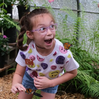 The Flying Colors Butterfly Festival at Chattahoochee Nature Center allows guest to have up-close encounters with butterflies. (Courtesy of the Chattahoochee Nature Center)