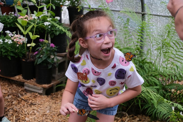 The Flying Colors Butterfly Festival at Chattahoochee Nature Center allows guest to have up-close encounters with butterflies. (Courtesy of the Chattahoochee Nature Center)