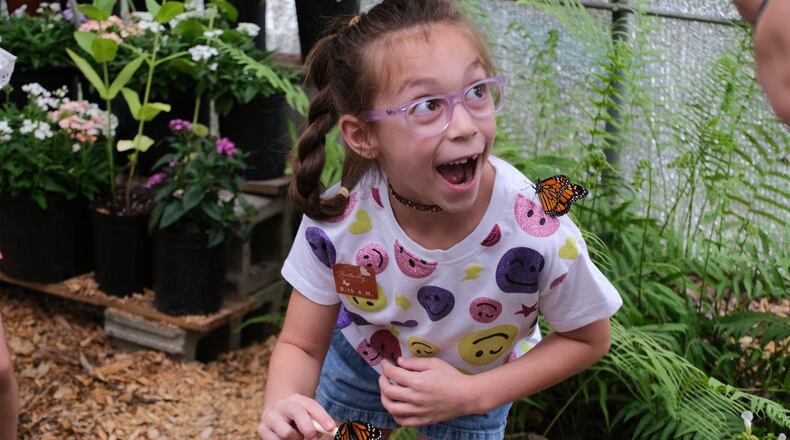 The Flying Colors Butterfly Festival at Chattahoochee Nature Center allows guests to have up-close encounters with butterflies. (Courtesy of Chattahoochee Nature Center)