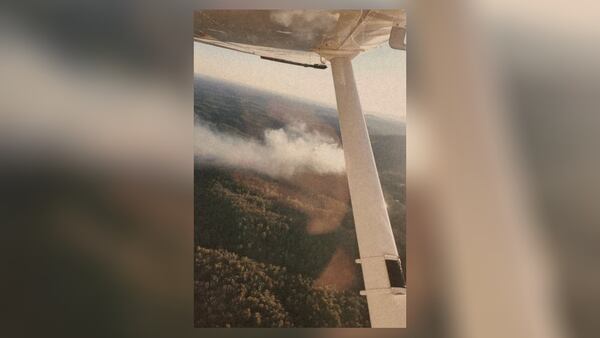 A wildfire is seen in Lumpkin County on March 2, 2025. (Courtesy of Georgia Forestry Commission)