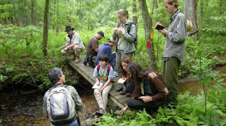 Students of varying ages want to learn about the outdoors and the benefits of plants from Mark Warren’s classes at Medicine Bow, his Dahlonega farm. 
(Courtesy of Mark Warren)