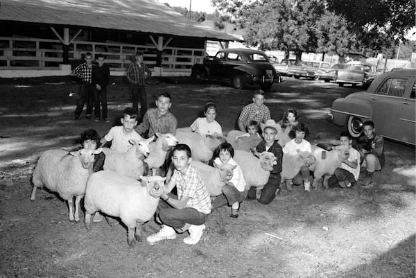Athens children who were members of Future Farmers of America pose with their livestock at the 1961 Athens Agricultural Fair. (Courtesy of Johnny H. Kesler)
