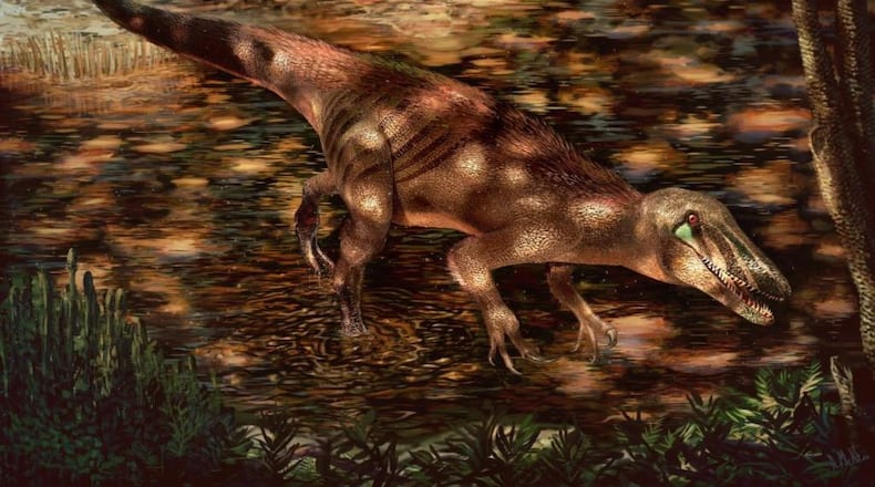 The new predatory dinosaur Tratayenia rosalesi crosses a stream in what is now Patagonia, Argentina roughly 85 million years ago.