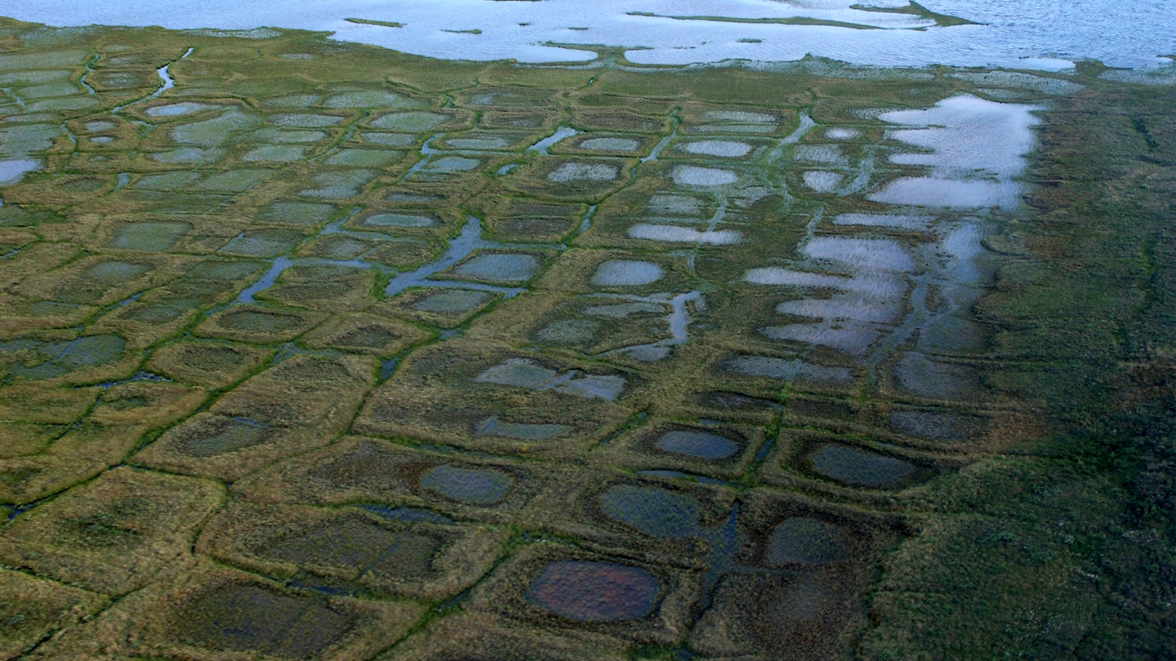 FILE - In this undated photo, provided by the United States Geological Survey, permafrost forms a grid-like pattern in the National Petroleum Reserve-Alaska, managed by the Bureau of Land Management on Alaska's North Slope. (David W. Houseknecht/United States Geological Survey via AP, File)