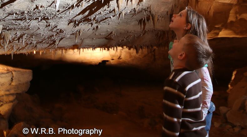 Inside Cumberland Caverns' 27.7 miles you'll see albino crawfish and bats.