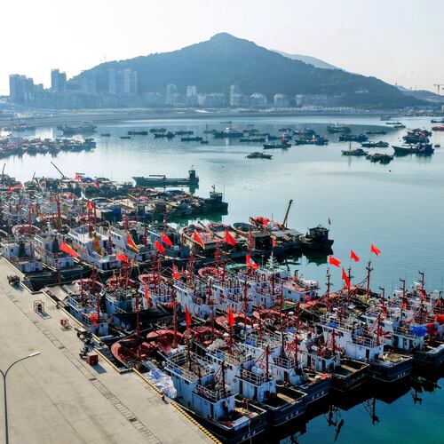 In this aerial photo released by Xinhua News Agency, fishing boats shelter at a port ahead of Typhoon Dolphin in Lianyungang, eastern China's Jiangsu Province on Aug. 7, 2026. (Wang Jianmin/Xinhua via AP)