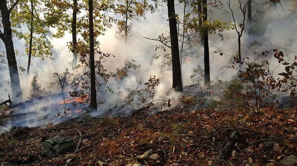 A fire is still burning on Rocky Face Mountain in Whitfield County. (Credit: Georgia Forestry Commission)