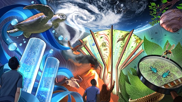 An inspirational, conceptual drawing created to encapsulate the subjects that will be explored in "Changing Earth," a new permanent exhibition planned as part of Fernbank Museum's $27 million renovation, which will take place in phases over the next two years. (Courtesy of Fernbank Museum)