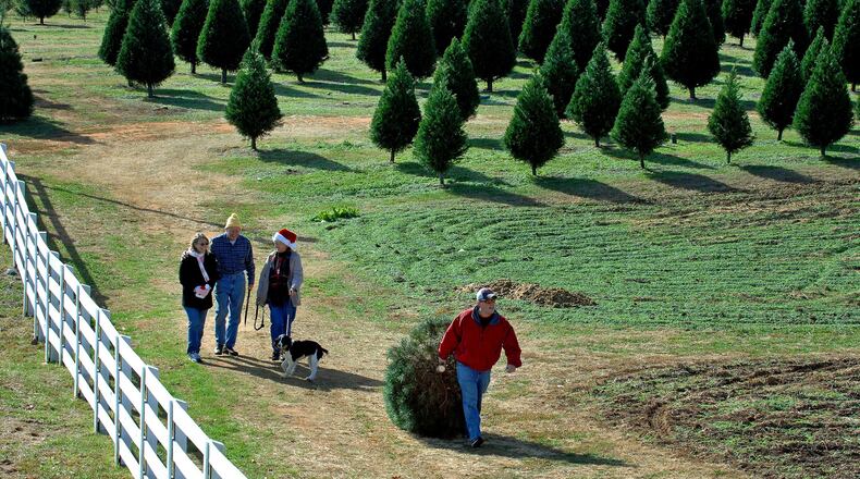A family chooses a tree at Bottoms’ Christmas Tree Farm outside Cumming.