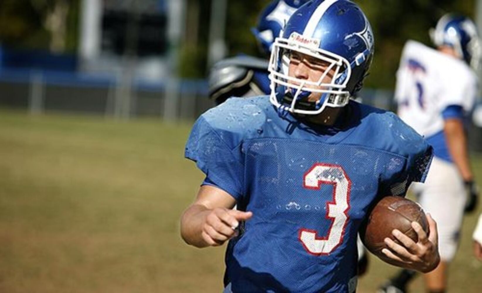 High School Football: Peachtree Ridge Lions