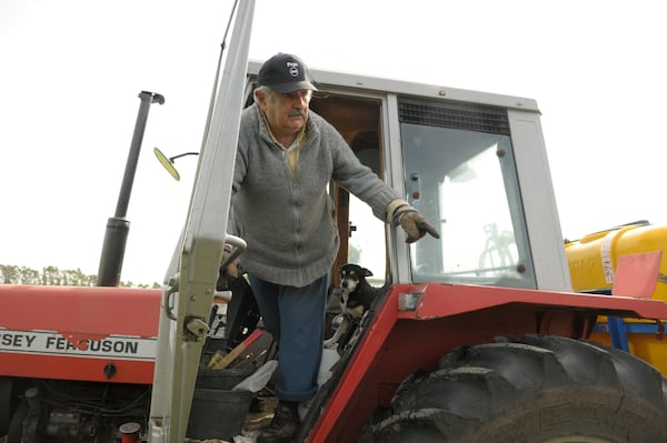 FILE - Jose "Pepe" Mujica, 74, presidential hopeful for the governing Broad Front leftist coalition, stands in a tractor on his flower farm after voting in Uruguay's general elections, on the outskirts of Montevideo, Oct. 25, 2009. (AP Photo/Matilde Campodonico, File)