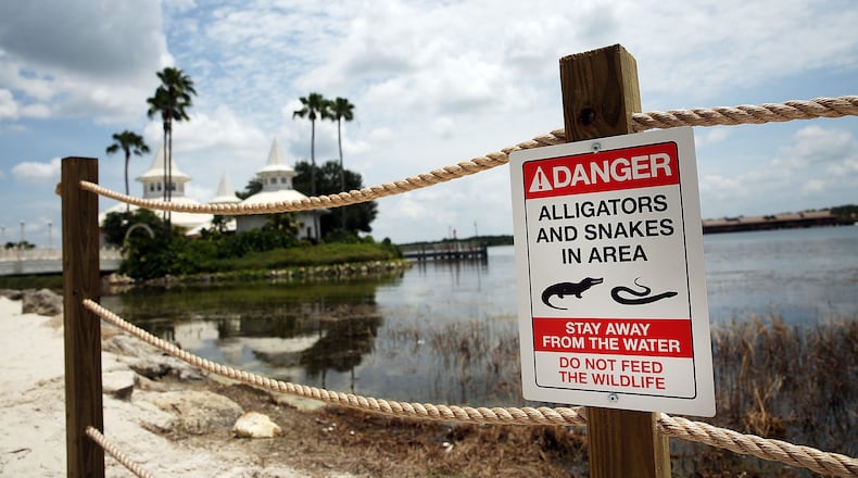 ORLANDO, FL: Newly installed signs warn of alligators and snakes on a closed section of beach following the death of a 2-year-old boy who was killed by an alligator near a Walt Disney World hotel in Orlando, Florida. Lane Graves, who was visiting Disney World with his family from Nebraska, died after he was pulled into the lagoon by an alligator. (Photo by Spencer Platt/Getty Images)
