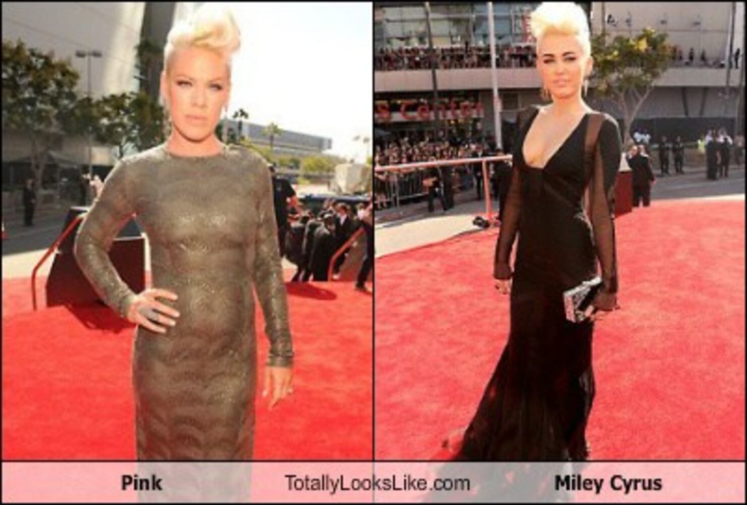 TotallyLooksLike.com