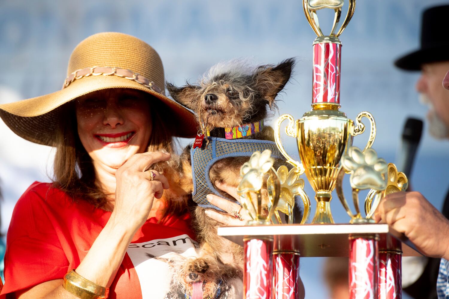 Photos: Scamp the Tramp wins World's Ugliest Dog Contest
