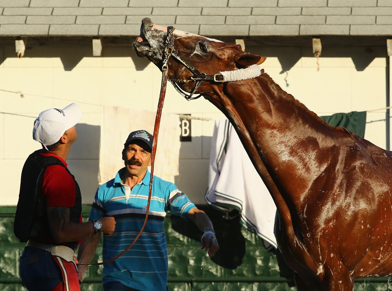 Belmont Stakes preps