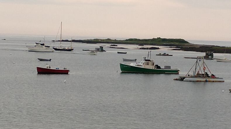 Dan Triscritti of Roswell shared this photo from his 2019 summer vacation in Kennebunkport Maine of lobster boats in for the evening.