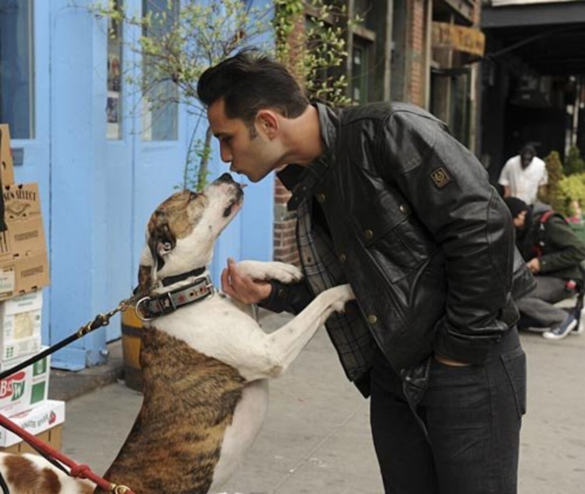 Who's top dog on TV?