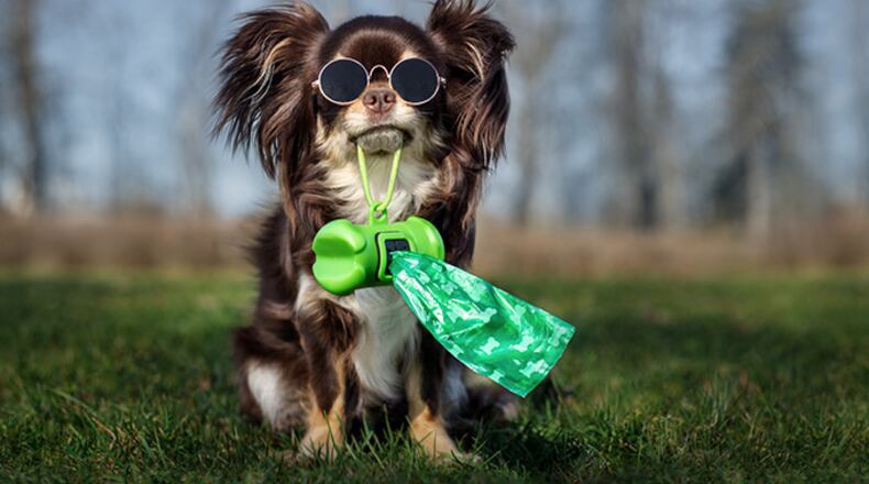 Roswell asks residents to take the Pick Up No. 2 pledge for environmental safety. (Courtesy City of Roswell)