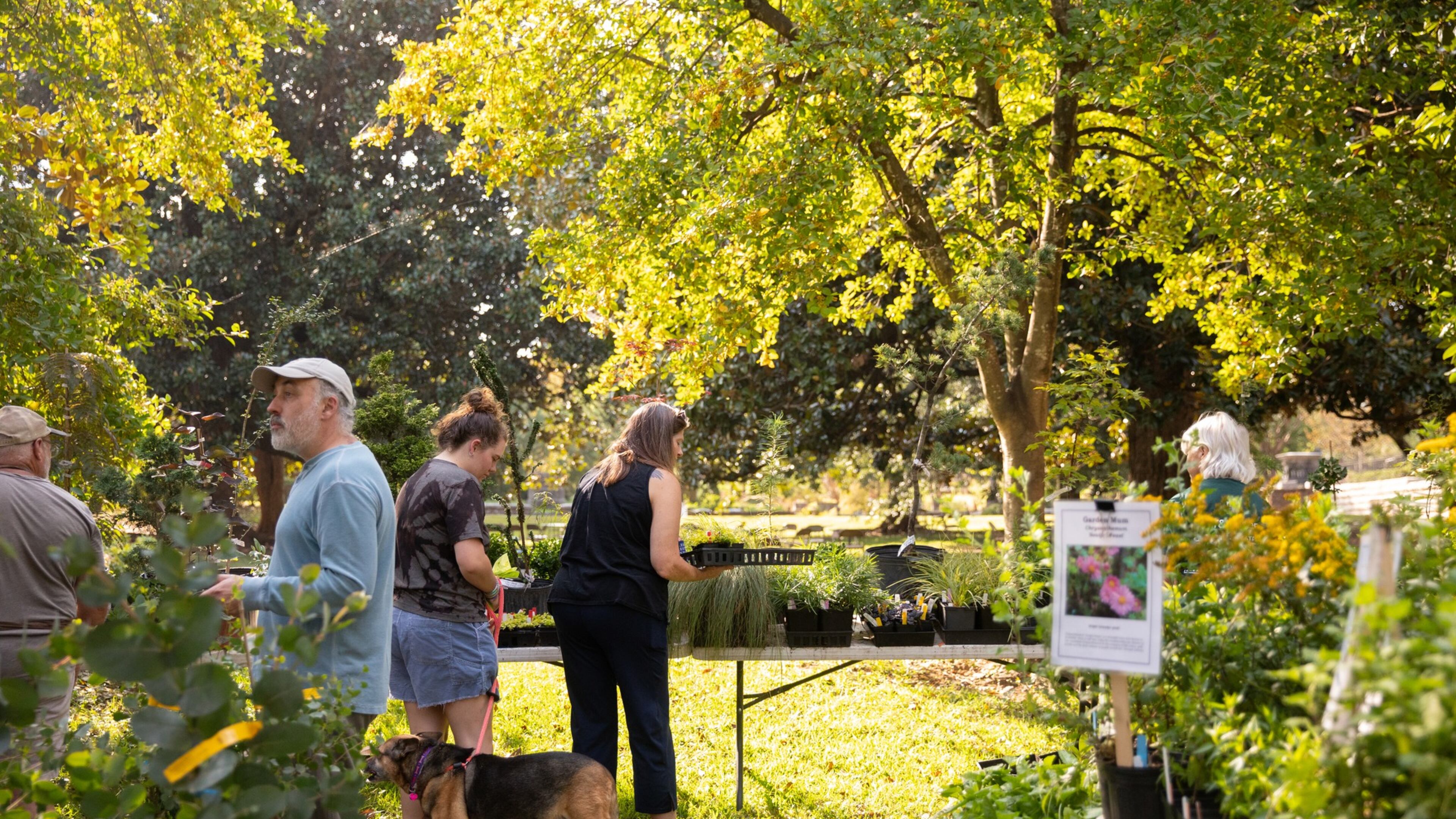 A plant sale featuring trees, shrubs and perennials will be held during Oakland Cemetery’s Spring to Life Festival on Saturday, April 5. (Courtesy of Oakland Cemetery)