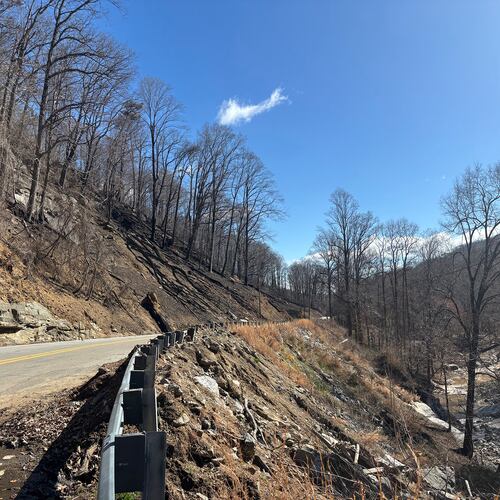 The fire that burned over 600 acres near Tryon, North Carolina was sparked by a downed power line felled by heavy winds. The fire is extinguished now but the black, sooty remains coat the forest floor on Thursday, March 6, 2025.. (Sara Gregory / AJC)