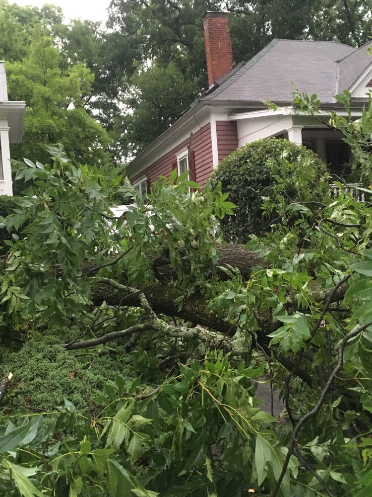 PHOTOS: Trees down after storms in metro Atlanta