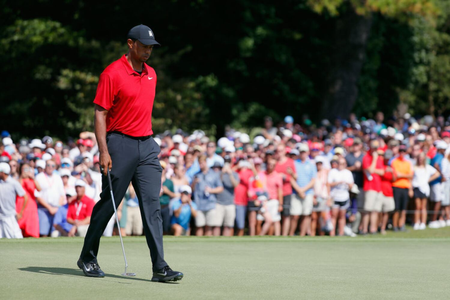 tiger woods wins tour championship