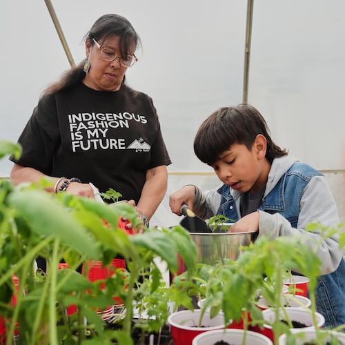 Dawn Spears, left, and her grandson, Giizhig, 9, right, prepare tomatoes for planting Tuesday, April 21, 2026, at a farm in Hopkinton, R.I. (AP Photo/Joshua A. Bickel)