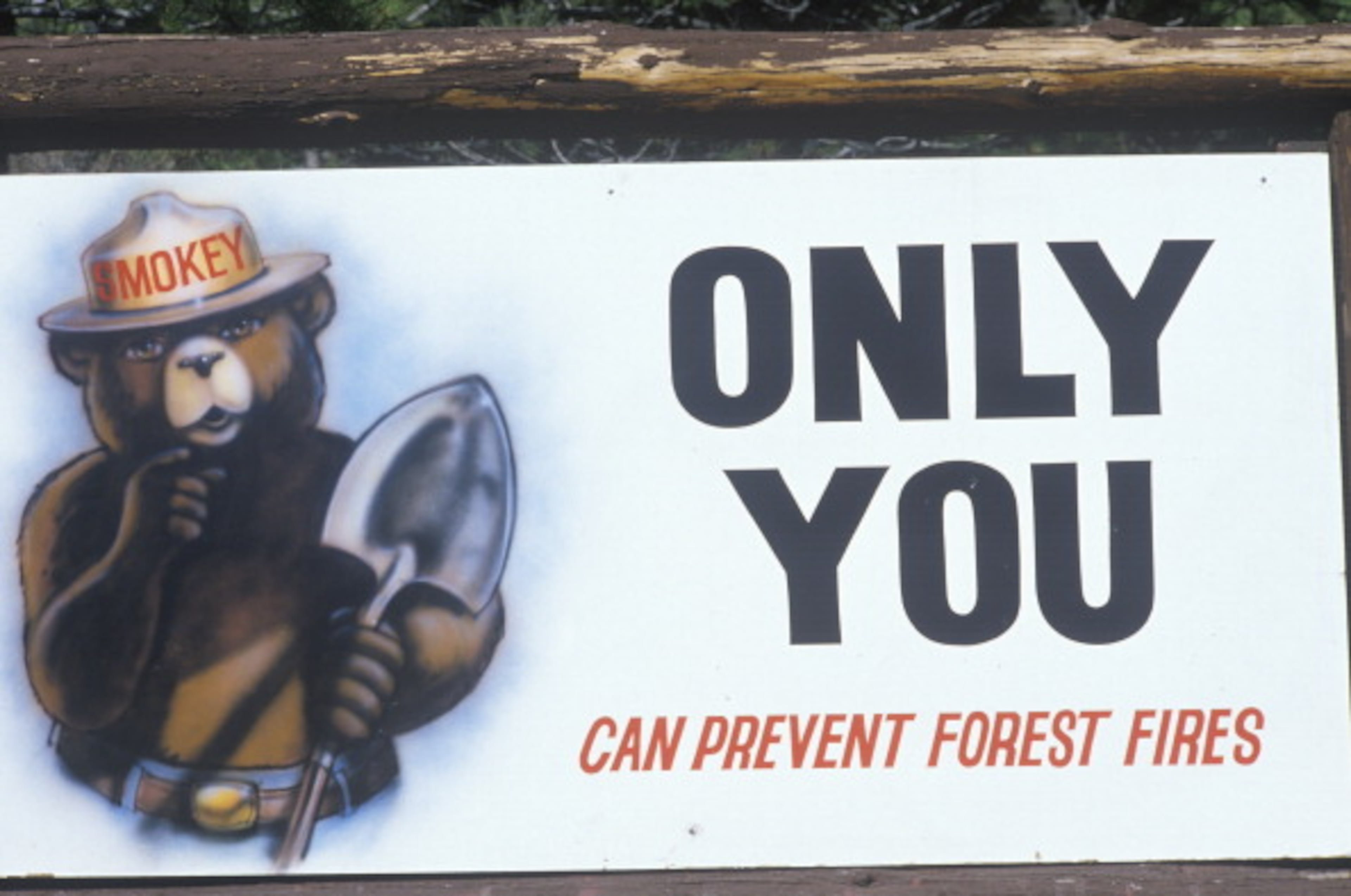 Smokey Bear was created by the Forest Service in 1944 as part of its Wildfire Prevention Campaign.