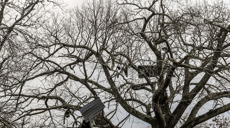 The Small Business Administration has opened Business Recovery Centers in Henry and Troup counties to help residents impacted by deadly storms earlier this month. (John Spink / John.Spink@ajc.com)